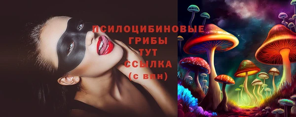 Альфа ПВП Бугульма
