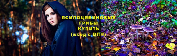 Альфа ПВП Бугульма