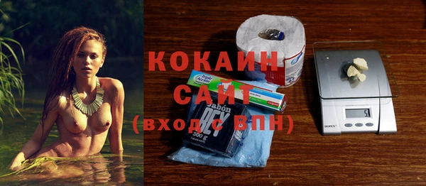 хмурый Богородицк